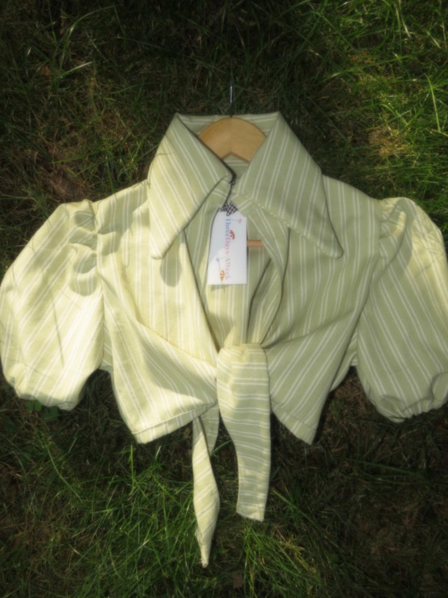 The 60s Spy Top- Leafy Stripe Print