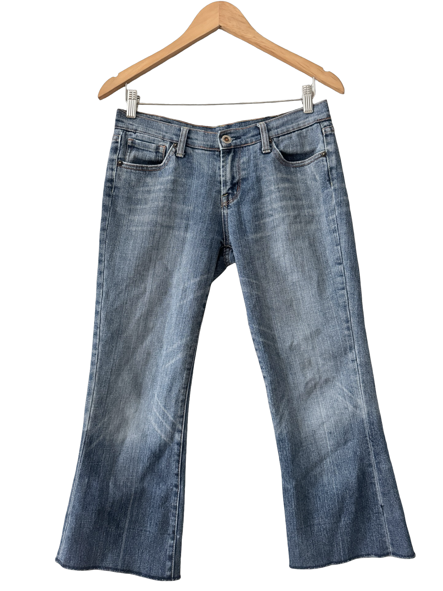 Vintage Y2K Blue Crush Denim Capris (S)