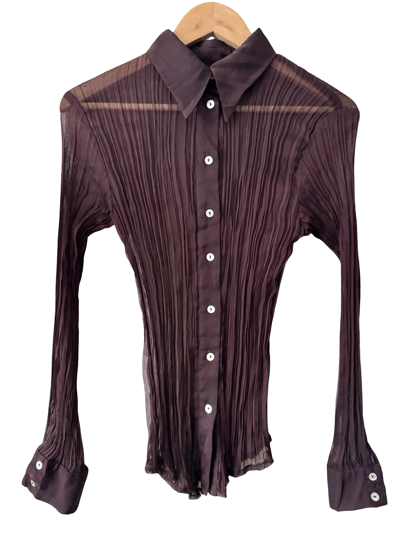 Vintage Y2K Plum Pleated Sheer Blouse (M)