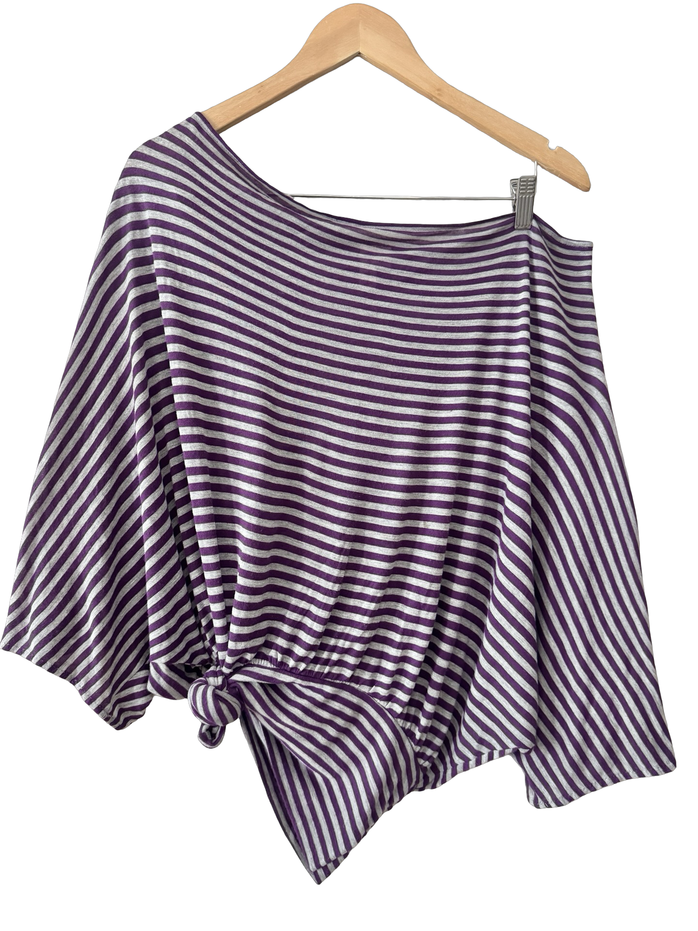 Vintage Y2K Plum Stripe Dolman Knit Tunic Top (L/XL)